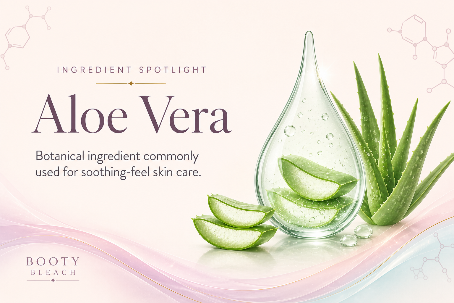 Booty Bleach ingredient spotlight graphic for aloe vera
