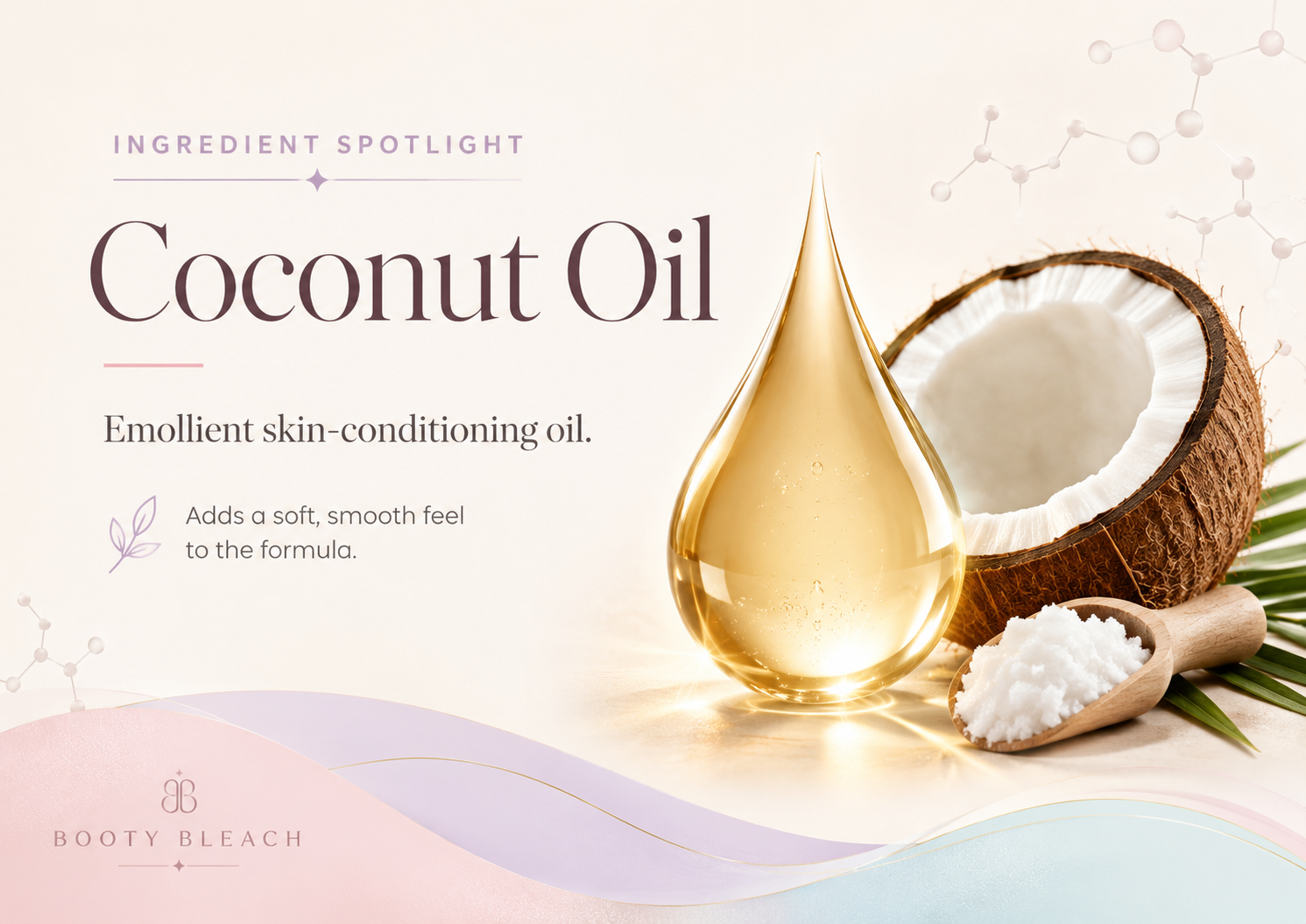 Coconut Oil ingredient spotlight for Booty Bleach